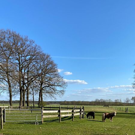 Ferienhof Westermann Waldblick Lähden 外观 照片