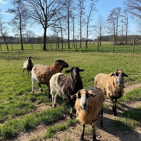 Ferienhof Westermann Waldblick Lähden 外观 照片