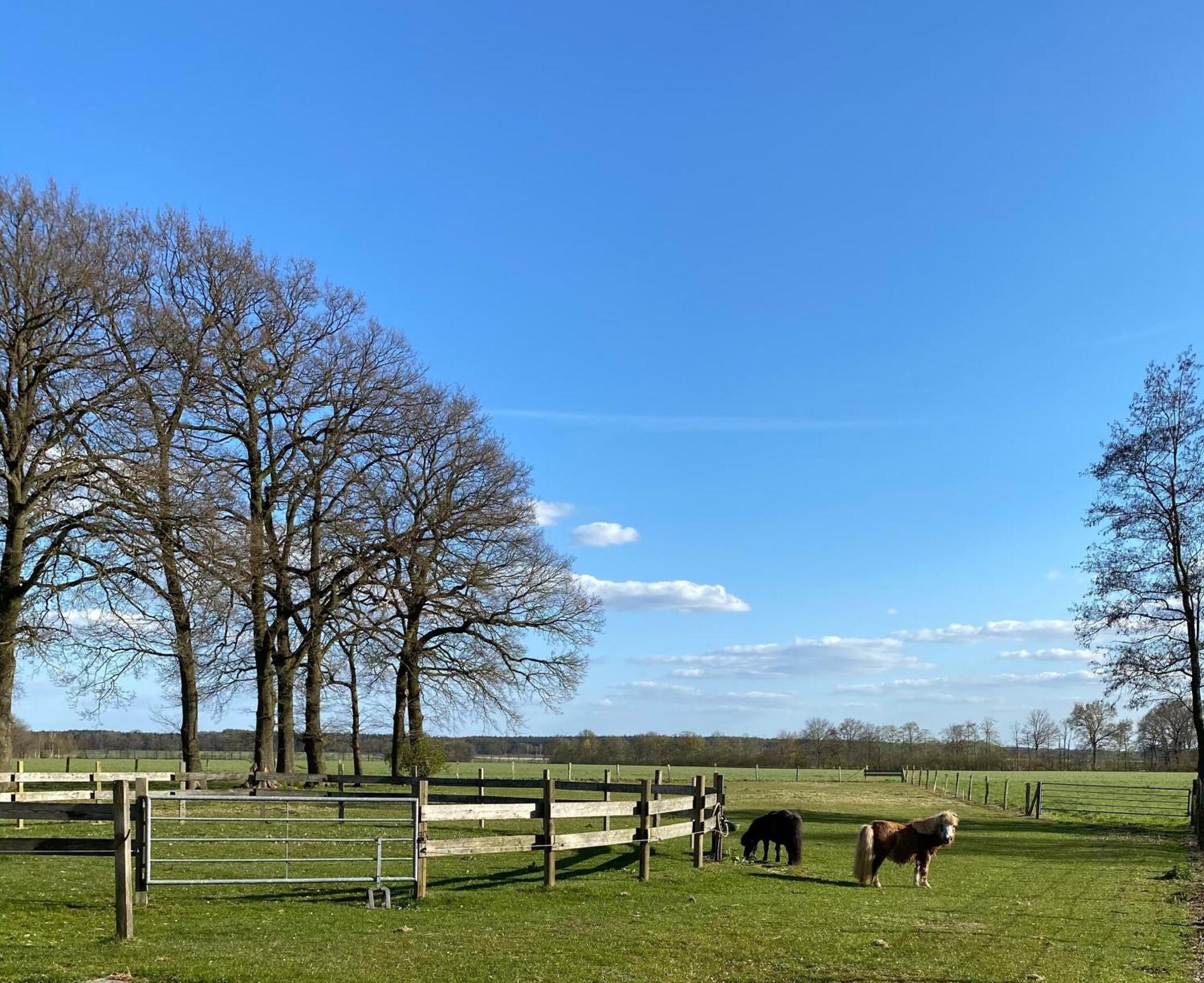 Ferienhof Westermann Waldblick Lähden 外观 照片